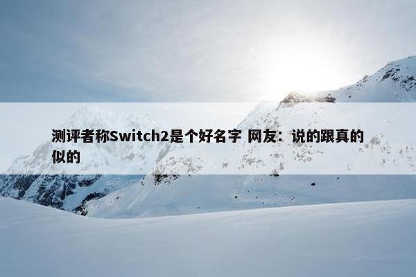 测评者称Switch2是个好名字 网友：说的跟真的似的