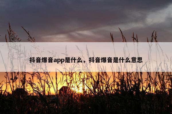 抖音爆音app是什么，抖音爆音是什么意思