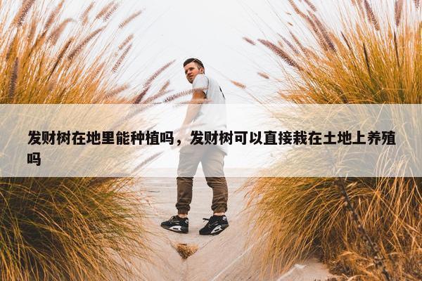 发财树在地里能种植吗，发财树可以直接栽在土地上养殖吗