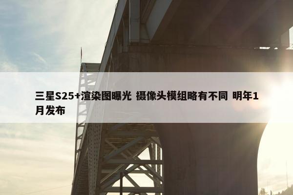 三星S25+渲染图曝光 摄像头模组略有不同 明年1月发布