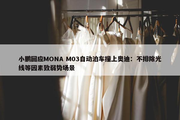 小鹏回应MONA M03自动泊车撞上奥迪：不排除光线等因素致弱势场景