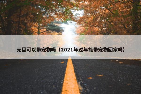 元旦可以带宠物吗（2021年过年能带宠物回家吗）