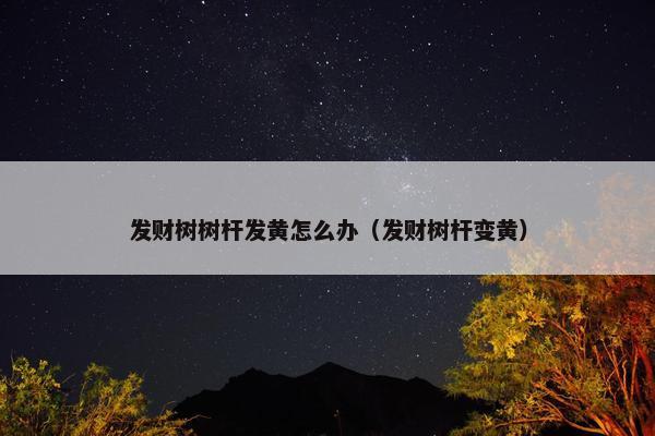 发财树树杆发黄怎么办（发财树杆变黄）