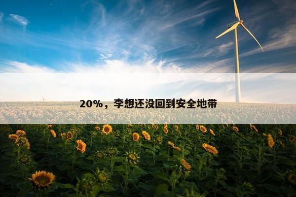 20%，李想还没回到安全地带