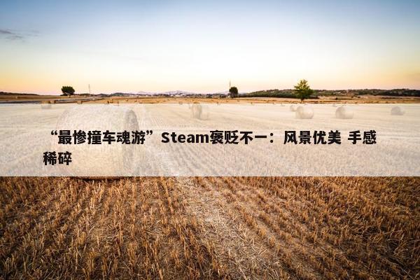 “最惨撞车魂游”Steam褒贬不一：风景优美 手感稀碎