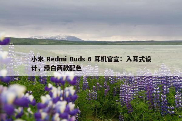 小米 Redmi Buds 6 耳机官宣：入耳式设计，绿白两款配色