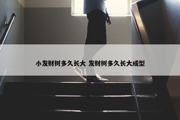 小发财树多久长大 发财树多久长大成型