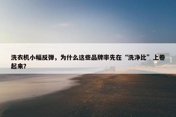 洗衣机小幅反弹，为什么这些品牌率先在“洗净比”上卷起来？