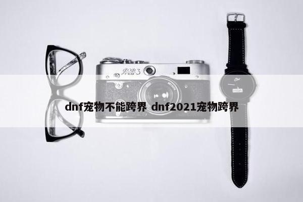 dnf宠物不能跨界 dnf2021宠物跨界