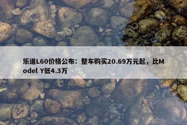 乐道L60价格公布：整车购买20.69万元起，比Model Y低4.3万