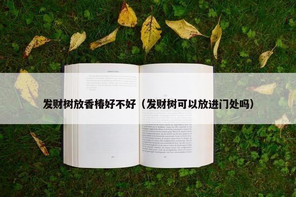 发财树放香椿好不好（发财树可以放进门处吗）