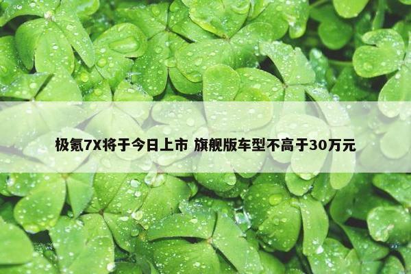 极氪7X将于今日上市 旗舰版车型不高于30万元