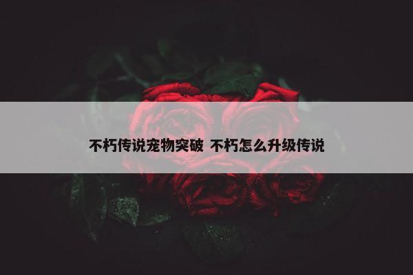 不朽传说宠物突破 不朽怎么升级传说