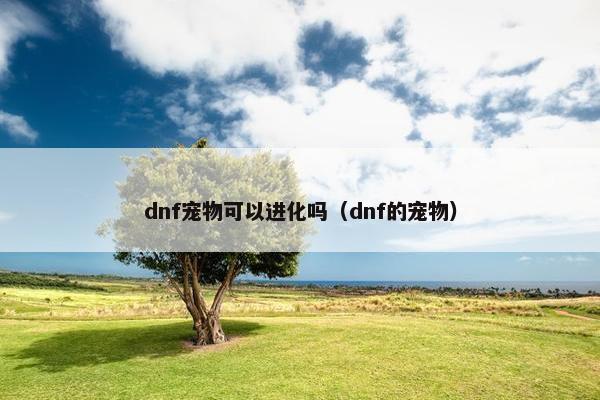 dnf宠物可以进化吗（dnf的宠物）