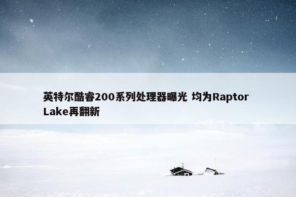 英特尔酷睿200系列处理器曝光 均为Raptor Lake再翻新