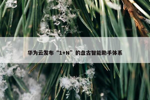 华为云发布“1+N”的盘古智能助手体系