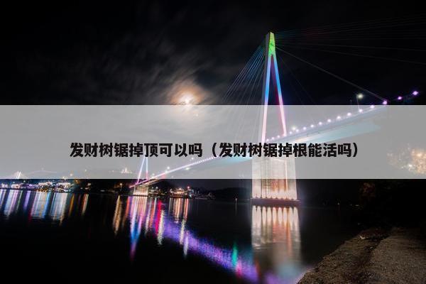 发财树锯掉顶可以吗（发财树锯掉根能活吗）