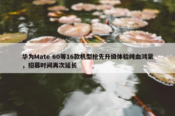 华为Mate 60等16款机型抢先升级体验纯血鸿蒙，招募时间再次延长