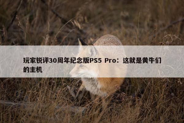 玩家锐评30周年纪念版PS5 Pro：这就是黄牛们的主机