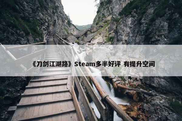 《刀剑江湖路》Steam多半好评 有提升空间