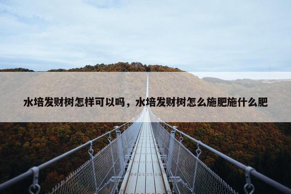 水培发财树怎样可以吗，水培发财树怎么施肥施什么肥