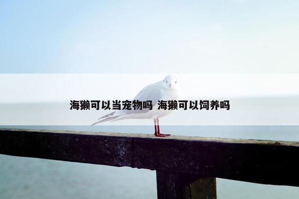 海獭可以当宠物吗 海獭可以饲养吗