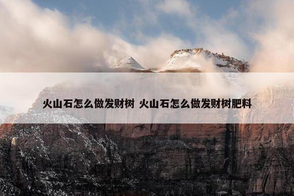 火山石怎么做发财树 火山石怎么做发财树肥料