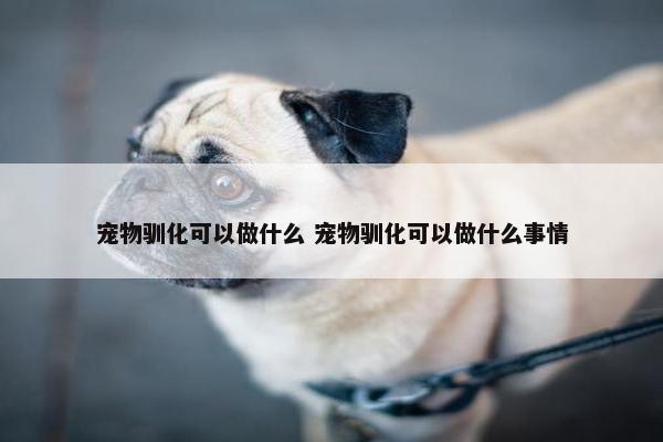 宠物驯化可以做什么 宠物驯化可以做什么事情