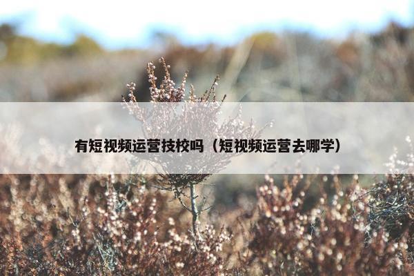 有短视频运营技校吗（短视频运营去哪学）