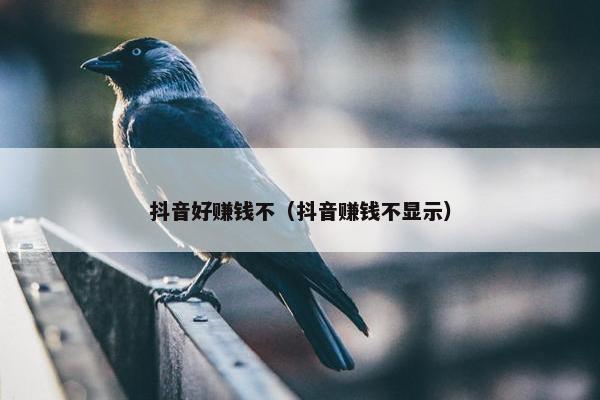 抖音好赚钱不（抖音赚钱不显示）