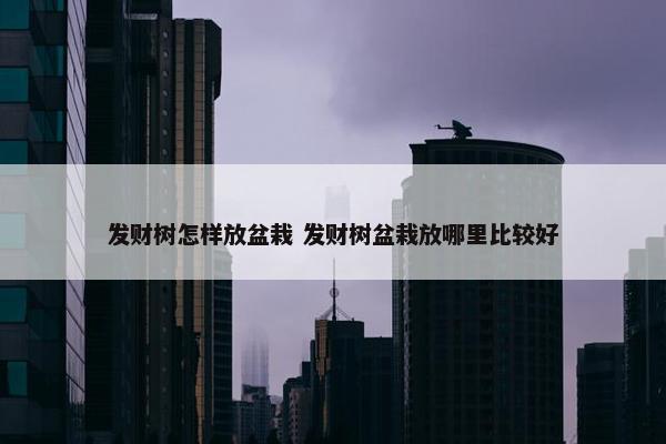 发财树怎样放盆栽 发财树盆栽放哪里比较好