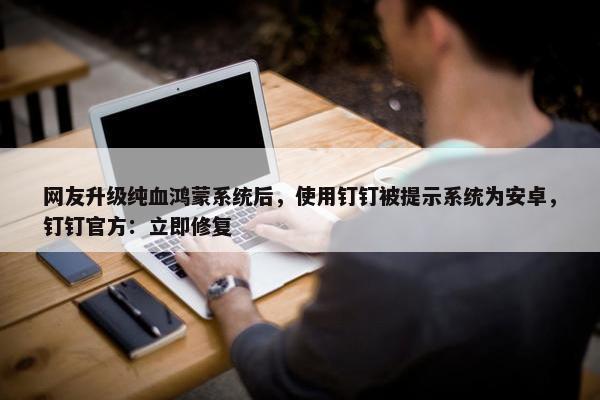 网友升级纯血鸿蒙系统后，使用钉钉被提示系统为安卓，钉钉官方：立即修复