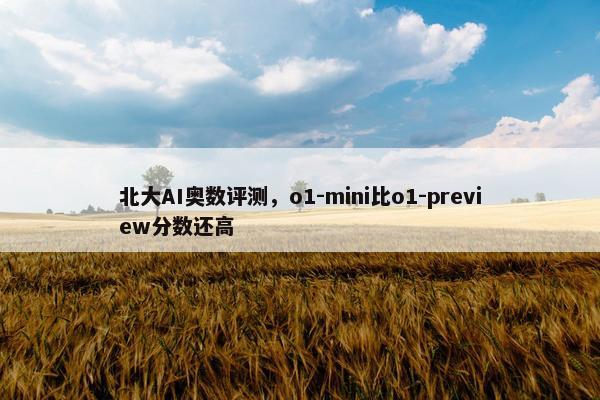 北大AI奥数评测，o1-mini比o1-preview分数还高