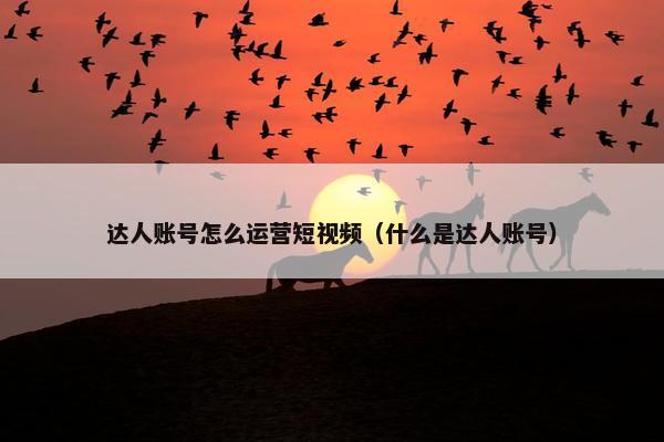 达人账号怎么运营短视频（什么是达人账号）