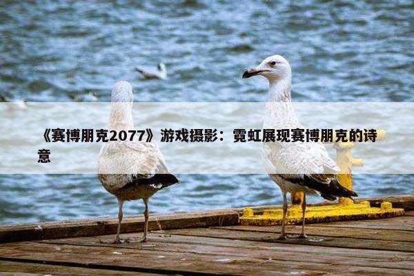 《赛博朋克2077》游戏摄影：霓虹展现赛博朋克的诗意