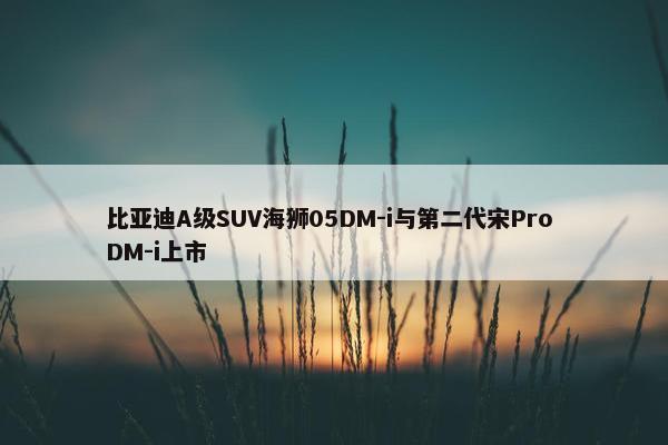 比亚迪A级SUV海狮05DM-i与第二代宋Pro DM-i上市