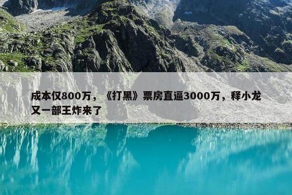 成本仅800万，《打黑》票房直逼3000万，释小龙又一部王炸来了