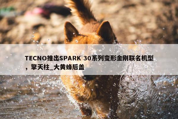 TECNO推出SPARK 30系列变形金刚联名机型，擎天柱_大黄蜂后盖