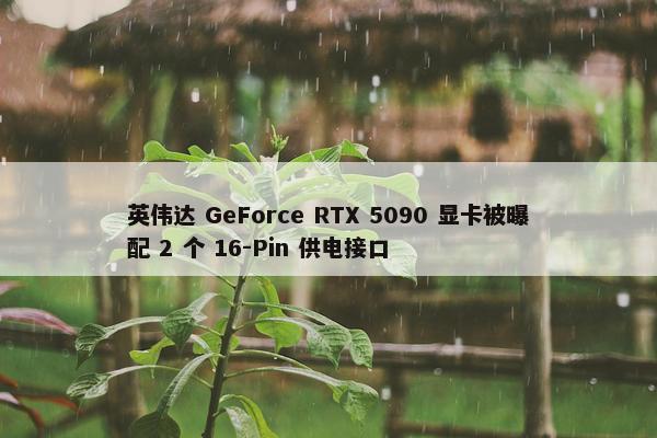 英伟达 GeForce RTX 5090 显卡被曝配 2 个 16-Pin 供电接口