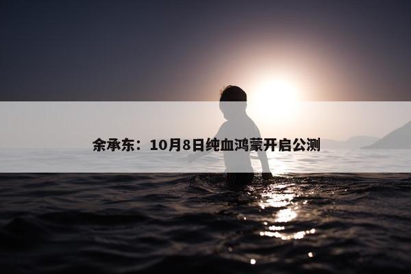 余承东：10月8日纯血鸿蒙开启公测