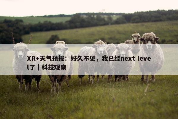 XR+天气预报：好久不见，我已经next level了｜科技观察