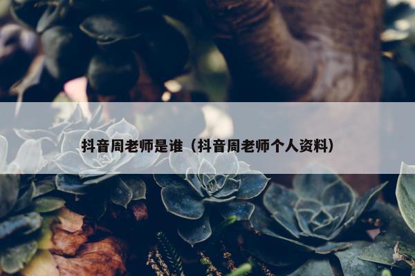 抖音周老师是谁（抖音周老师个人资料）