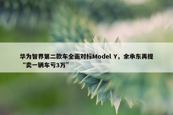 华为智界第二款车全面对标Model Y，余承东再提“卖一辆车亏3万”