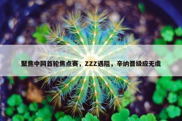 聚焦中网首轮焦点赛，ZZZ遇阻，辛纳晋级应无虞