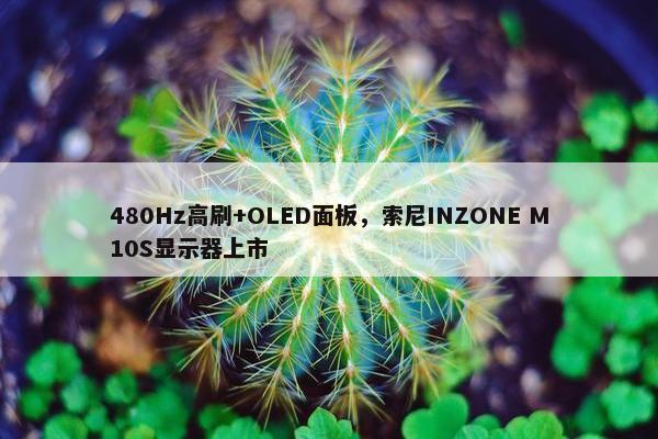 480Hz高刷+OLED面板，索尼INZONE M10S显示器上市