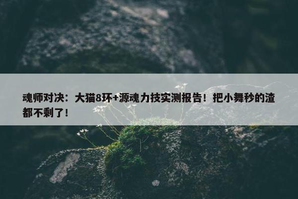 魂师对决：大猫8环+源魂力技实测报告！把小舞秒的渣都不剩了！