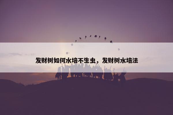 发财树如何水培不生虫，发财树水培法