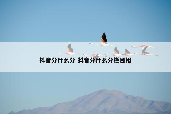 抖音分什么分 抖音分什么分栏目组