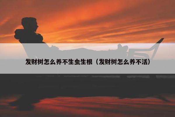 发财树怎么养不生虫生根（发财树怎么养不活）