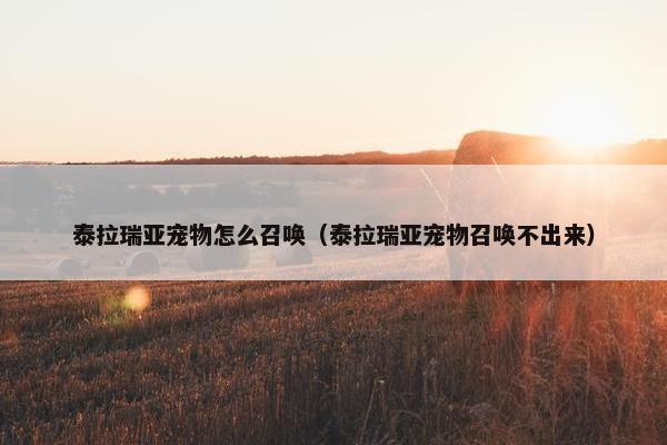 泰拉瑞亚宠物怎么召唤（泰拉瑞亚宠物召唤不出来）